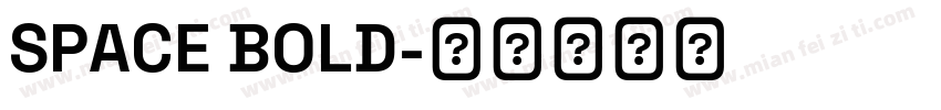 SPACE BOLD字体转换